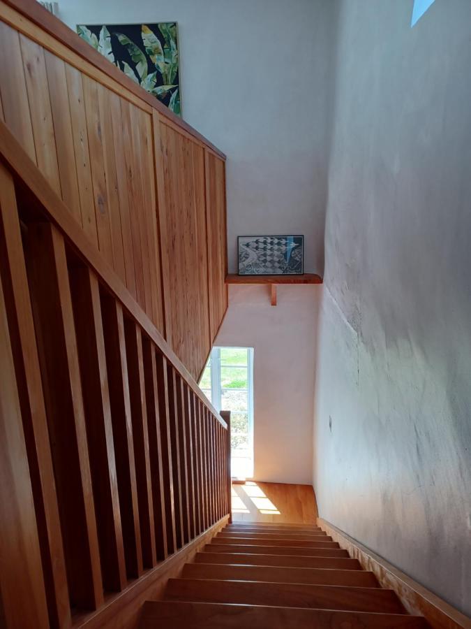 Pirita Vineyard Cottage. Upper Moutere ภายนอก รูปภาพ