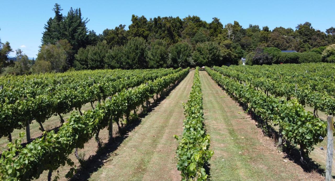 Pirita Vineyard Cottage. Upper Moutere ภายนอก รูปภาพ