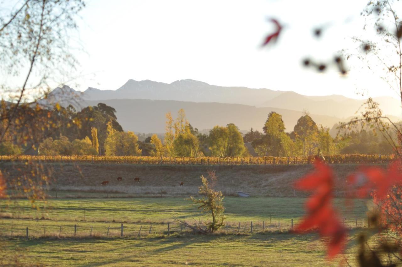 Pirita Vineyard Cottage. Upper Moutere ภายนอก รูปภาพ